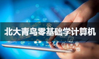 零基礎(chǔ)入門軟件開(kāi)發(fā) 可能之路與學(xué)習(xí)指南